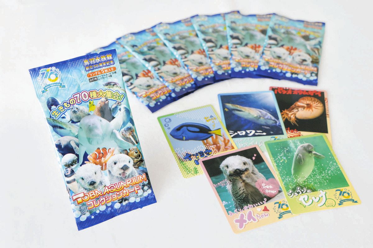 ラッコのメイとキラだけじゃない！ レア含め全81種、鳥羽水族館が