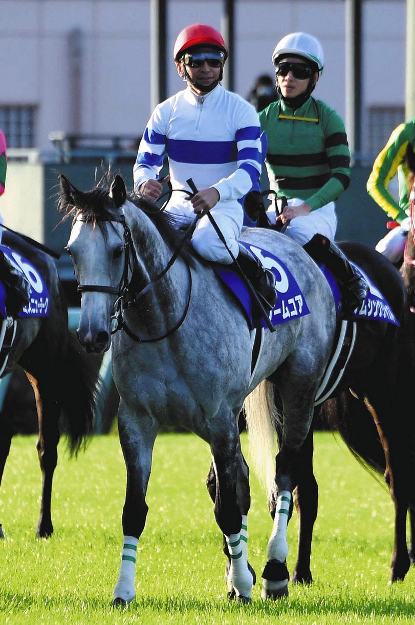 香港カップは日本馬ワンツー！ノームコア1着、ウインブライト2着