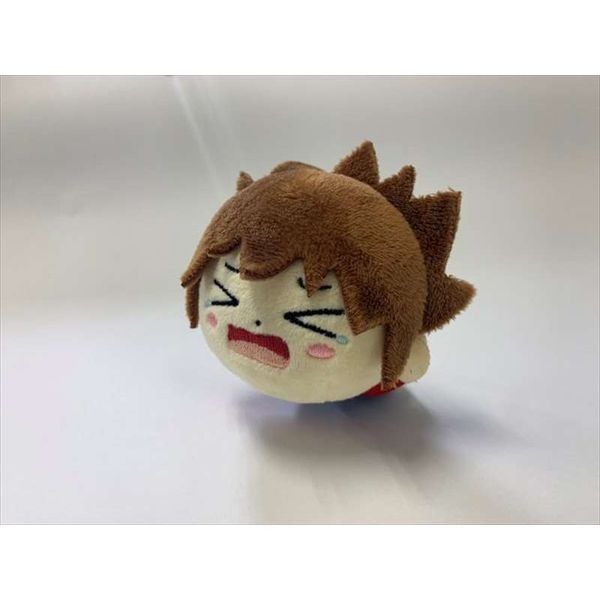 グッズ: 家庭教師ヒットマンREBORN! 怪物づかいツナ ツナぬいぐるみ