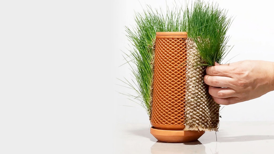 表面で植物を育てるプランター!? しかも土がいらず水だけでOKって