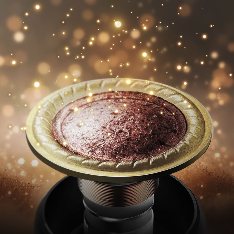 楽器を耳にする贅沢。ビクターの最高峰イヤホン「WOOD master」が