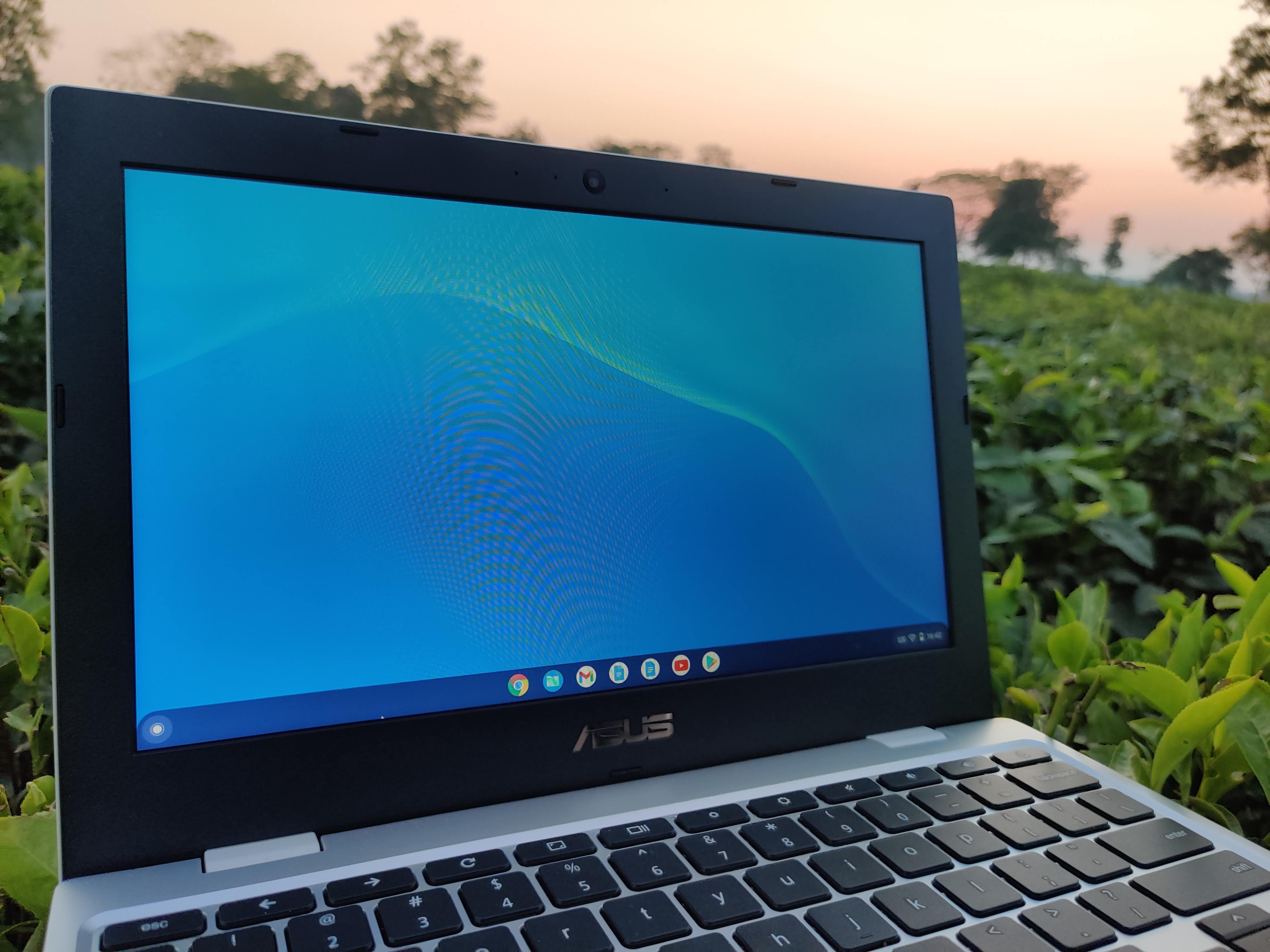 Asus Chromebook CX1101 Review: A Solid Deal for Students & Elders