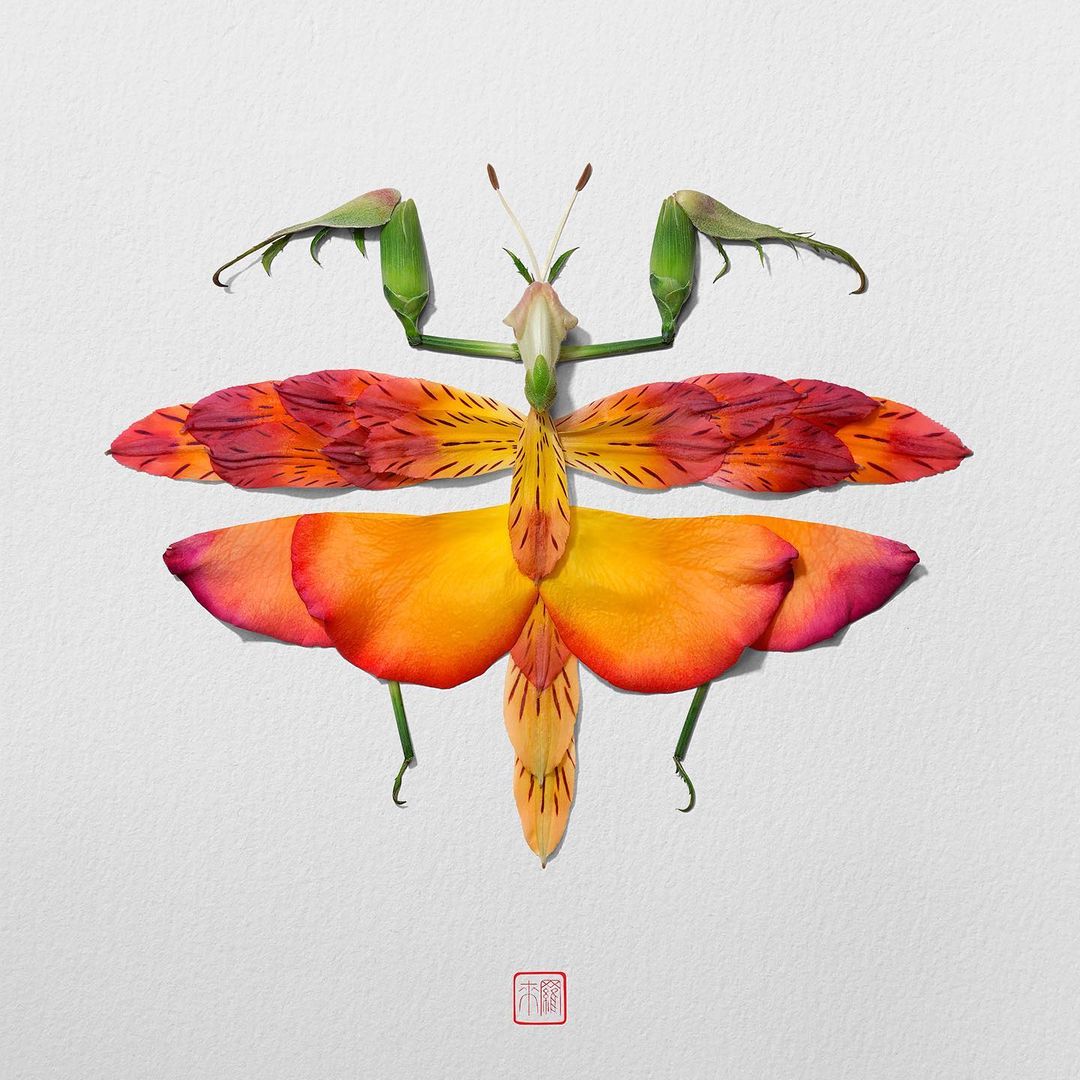 This Artist Creates Portraits Of Insects Without Using Any Insects