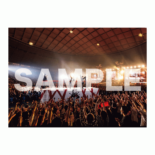 商品詳細ページ | G-DIRECT