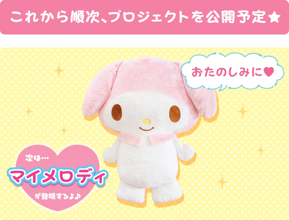 makuake ウィッシュミーメル