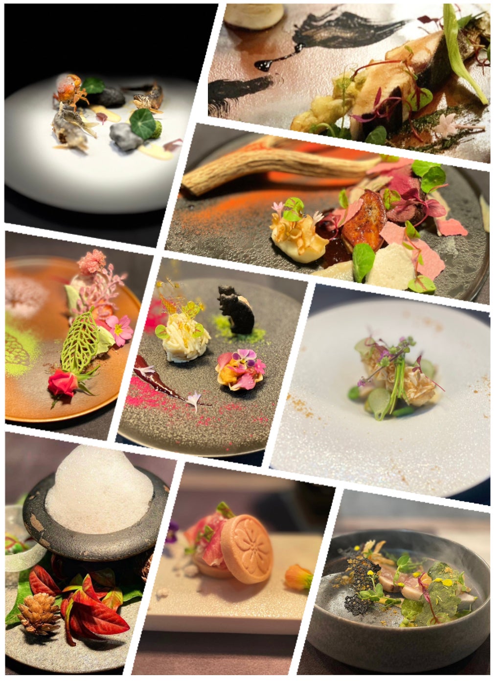 希少食材と薩摩牛 極を潤沢に使ったイノベーティブフレンチ。東麻布で