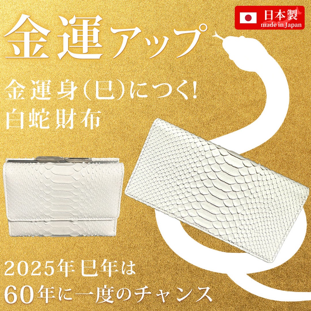 斎藤ひとり 大開運銀ヘビ 純銀製 おまけつき 斎藤ひとり 大開運銀ヘビ