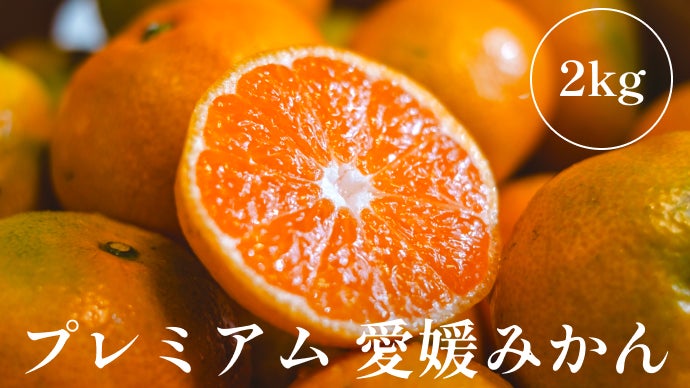 この時期・この木・この場所で。老舗農家が見極めた「プレミアム」柑橘