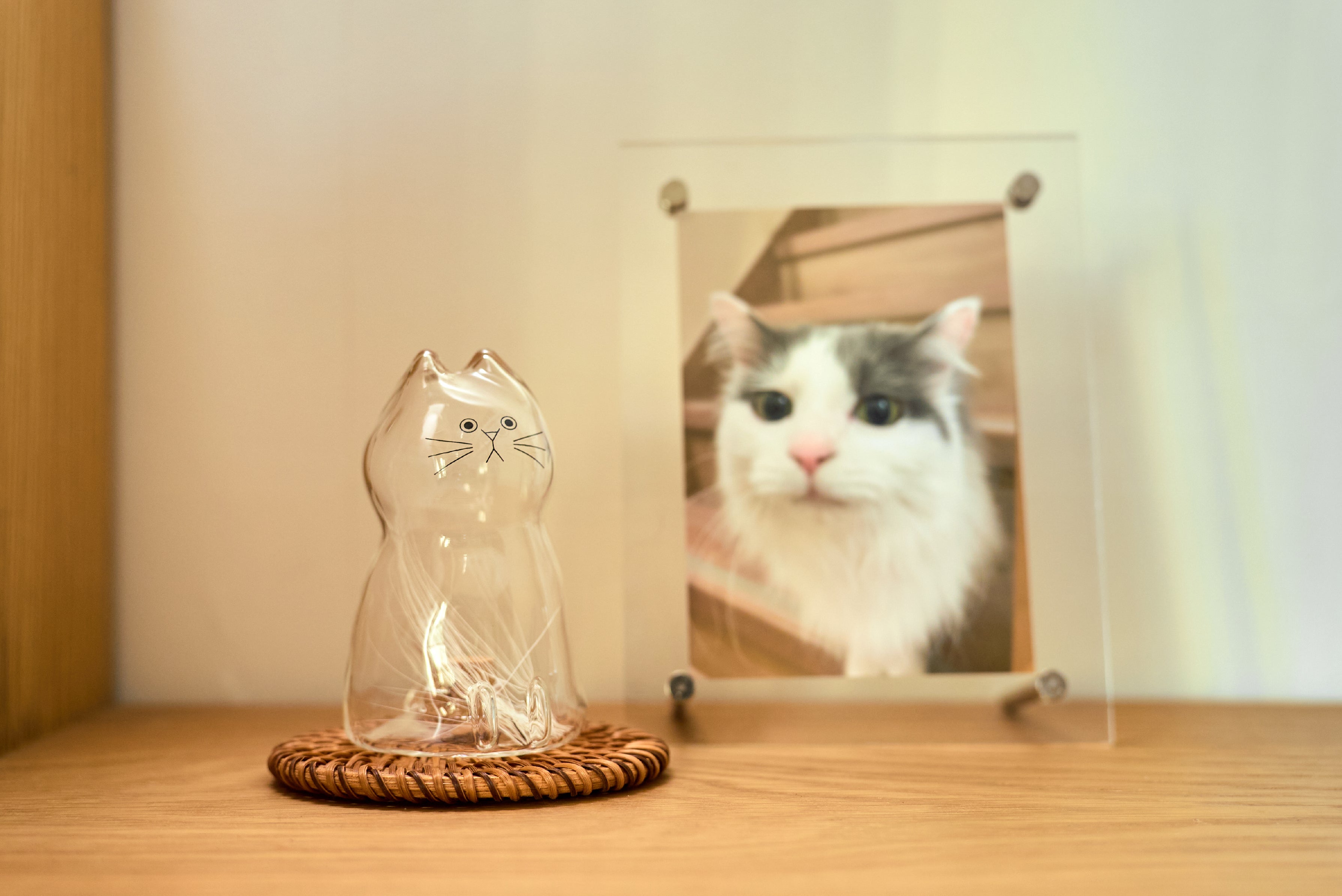 うちの子のけだまだま」から、待望のガラスシリーズ誕生！｜マクアケ