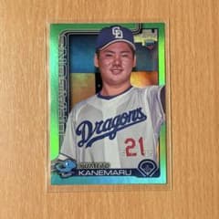 m44935728896_1.jpg?1751644572