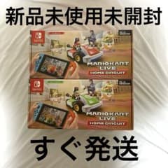 新品未使用未開封 2個セット マリオカートライブホームサーキット