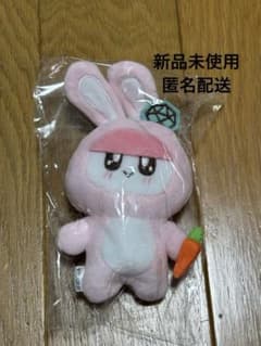 SEVENTEEN セブチ BONGBONG 着ぐるみボンボンイうさぎ - メルカリ