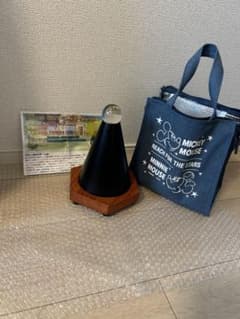 m45733676183_1.jpg?1748850630