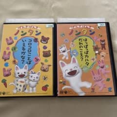 m46561761822_1.jpg?1756021704