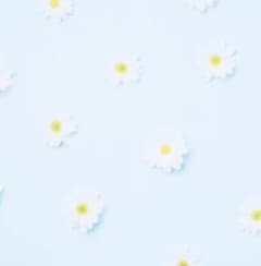 プロセカ 初音ミク 星乃一歌 天馬咲希 望月穂波 缶バッジ 16点 - メルカリ