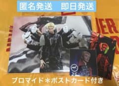 長谷川慎 PRIMAL SPIDER パネル A4サイズ - メルカリ