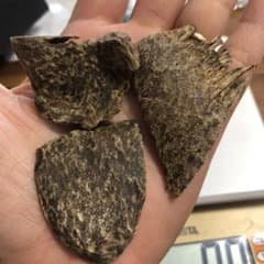 伽羅 香木、ベトナム産高品質沈香伽羅3.5g香道聞香用六国五味 香木