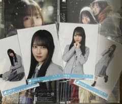 龍*ン様 日向坂46 16th クリフハンガー 封入生写真 4種コンプ 松尾桜c