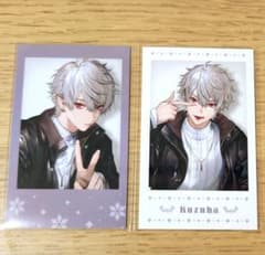 m49785920818_1.jpg?1734418937