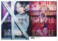 新商品】スターダム STARDOM 上谷沙弥 写真集 Phenex Queen - メルカリ