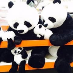 コストコ パンダ ぬいぐるみ - メルカリ