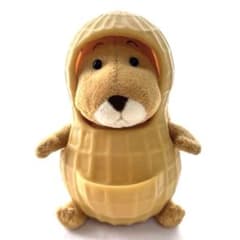 m41869435677_1.jpg?1740667050