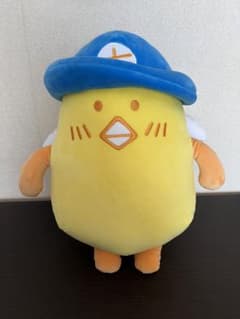 m43273218081_1.jpg?1717333189