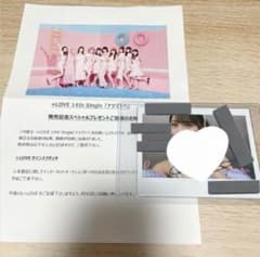 m43670239059_1.jpg?1726749030