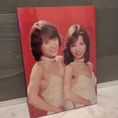 m54344089486_1.jpg?1687083897