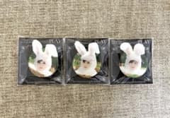 MISAMO PLAY リスニングパーティー スマホグリップ ミナ サナ モモ