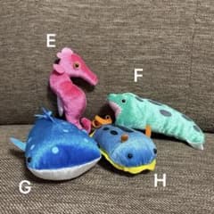 マリンパーク きらきらぬいぐるみ - メルカリ