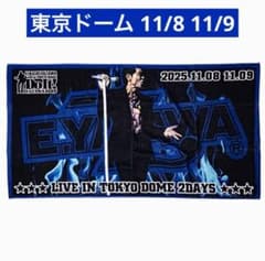 矢沢永吉 Do It 2025 スペシャルビーチタオル 東京ドーム - メルカリ
