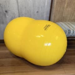Gymnic ギムニク バランスボール フィジオロール 55cm ピーナッツ