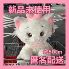 m58413202266_1.jpg?1755088005