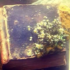 やま様 オルゴナイト オーダー®️ - メルカリ