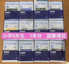Z会 小5 エブリスタディ 4教科 1年分 国算理社 - メルカリ