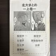 m50053979998_1.jpg?1724332138