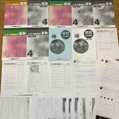 m51183853727_1.jpg?1726999093