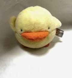 m51356586430_1.jpg?1760355693