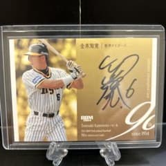 m52822591447_1.jpg?1729856823