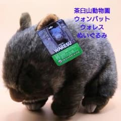 ウォンバットぬいぐるみ 茶臼山動物園 ウォレス - メルカリ