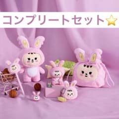 seventeen ミニティーン ジョントラム ジョンハン フルセット 2025