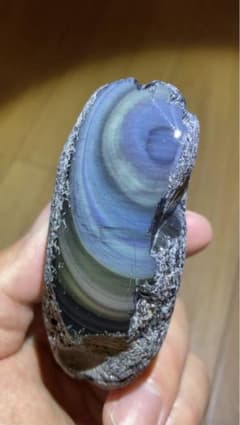 m65165500481_1.jpg?1696334421