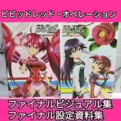ビビッドレッド・オペレーション ファイナルビジュアル集 ファイナル