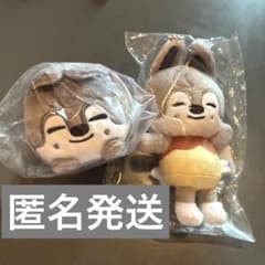 StrayKids バンチャン(Wolf Chan) ぬいぐるみ2種セット - メルカリ