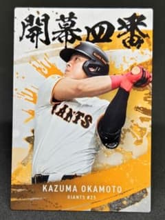 m69003369632_1.jpg?1765788683