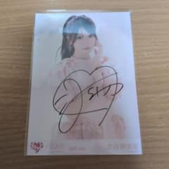 m69931904136_1.jpg?1761566650