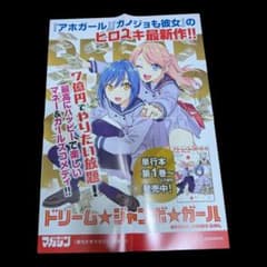 非売品】ドリームジャンボガール 非売品ポスター B3程度 - メルカリ