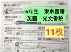 最新版】小学5年 英語 カラーテスト 答えたしかめシート令和6年度 1年