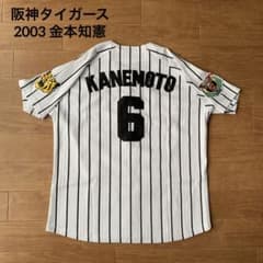 m14186578667_1.jpg?1741173688